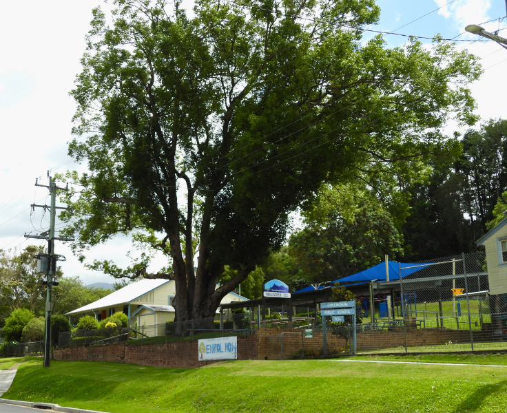 The front of the school